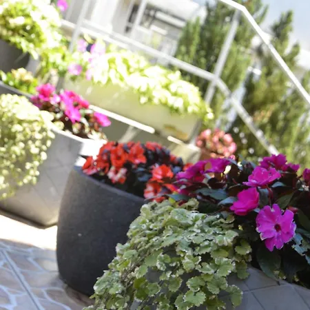 Lilly - Apartament Rijeka