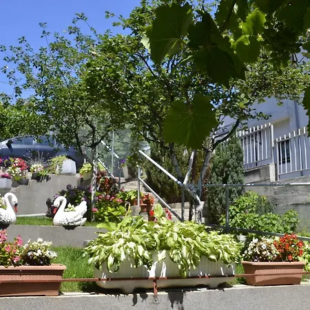 Lilly - Rijeka