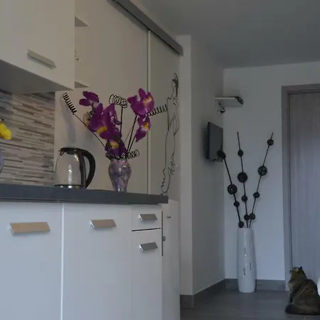 Lilly - Apartament *