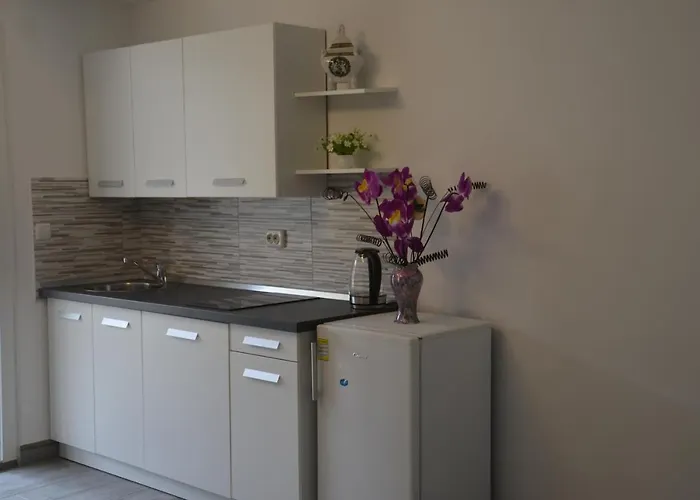 Apartamento Lilly - Rijeka